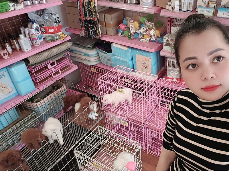 Mua Chó Cảnh Hà Nội - Shop Chó Cảnh Uy Tín, Giá Tốt
